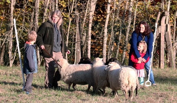 angebot_​programm_​slowschaf